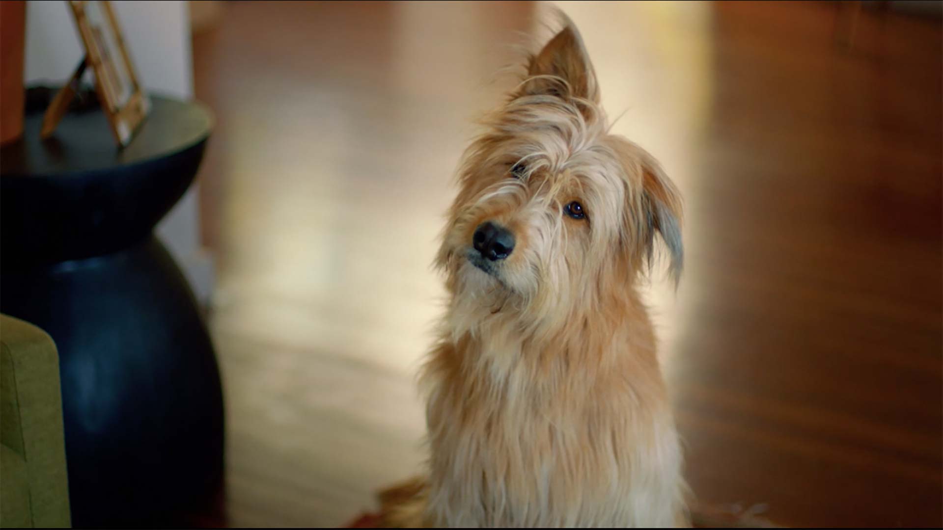 Amazon Low Prices Union Editorial