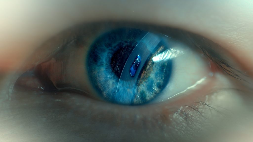 Director: Konrad Begg